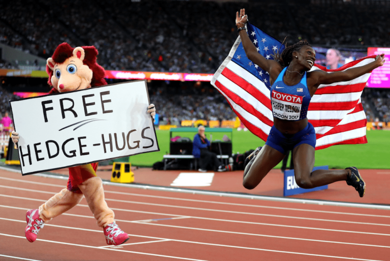 Hero the Hedgehog
