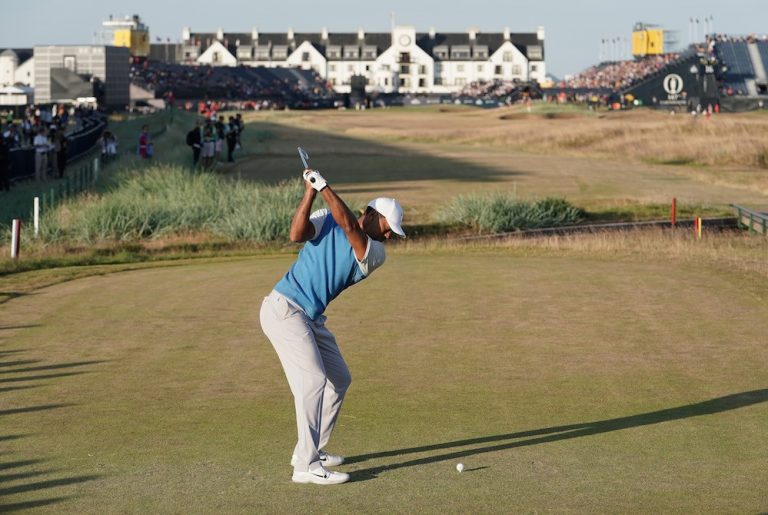 tiger