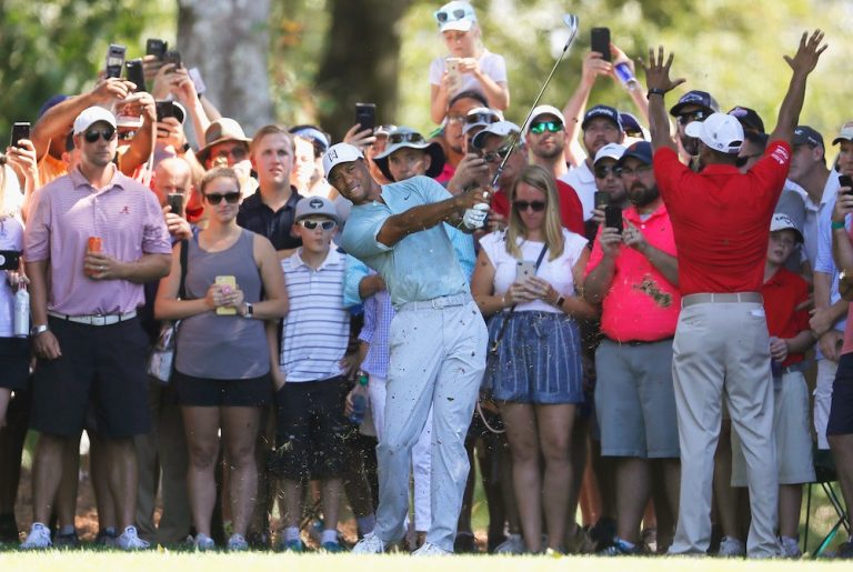 Tiger 2 - Credit Getty Images